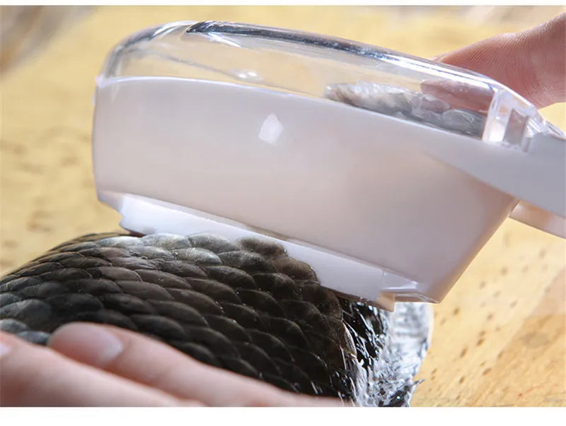 Fish Cleaning Tool Scraping Scales