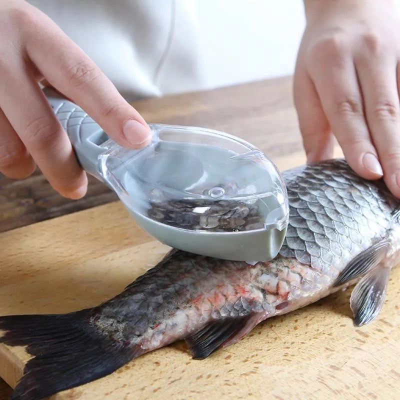 Fish Cleaning Tool Scraping Scales