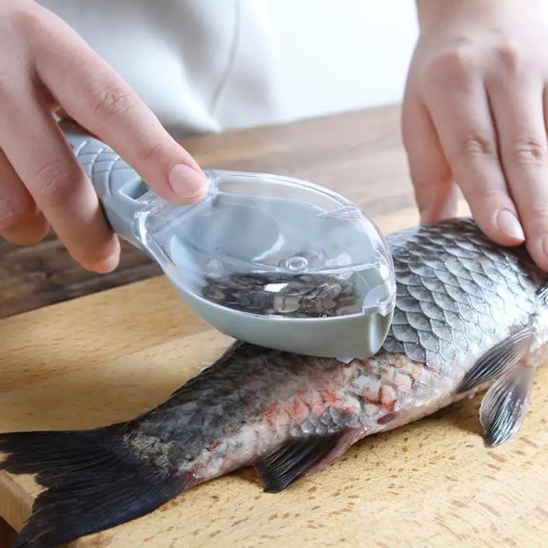 Fish Cleaning Tool Scraping Scales