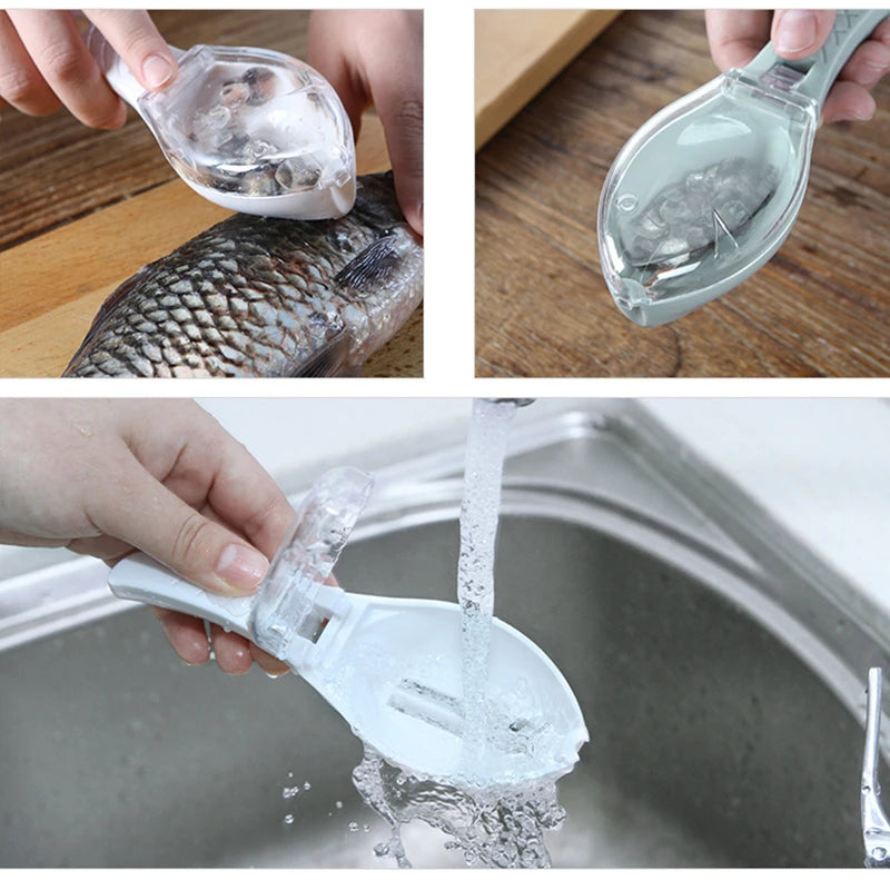 Fish Cleaning Tool Scraping Scales
