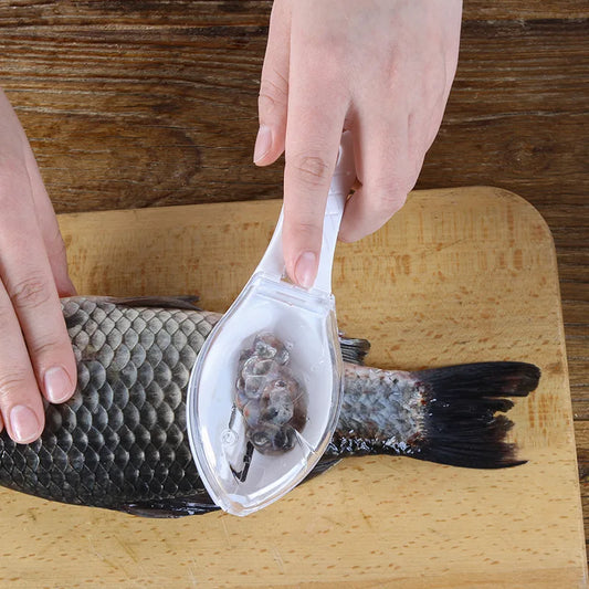 Fish Cleaning Tool Scraping Scales